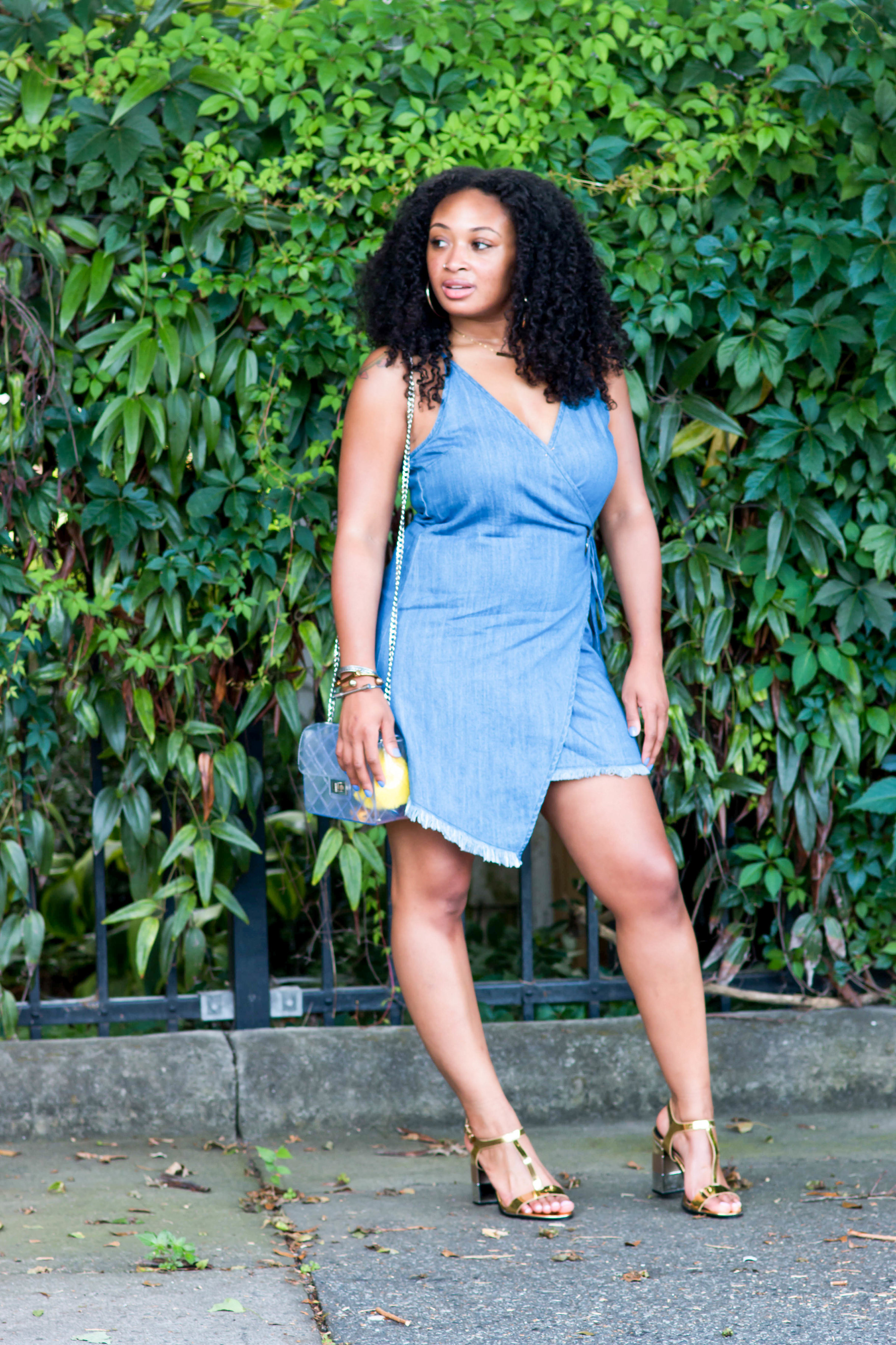 Denim Wrap Dress